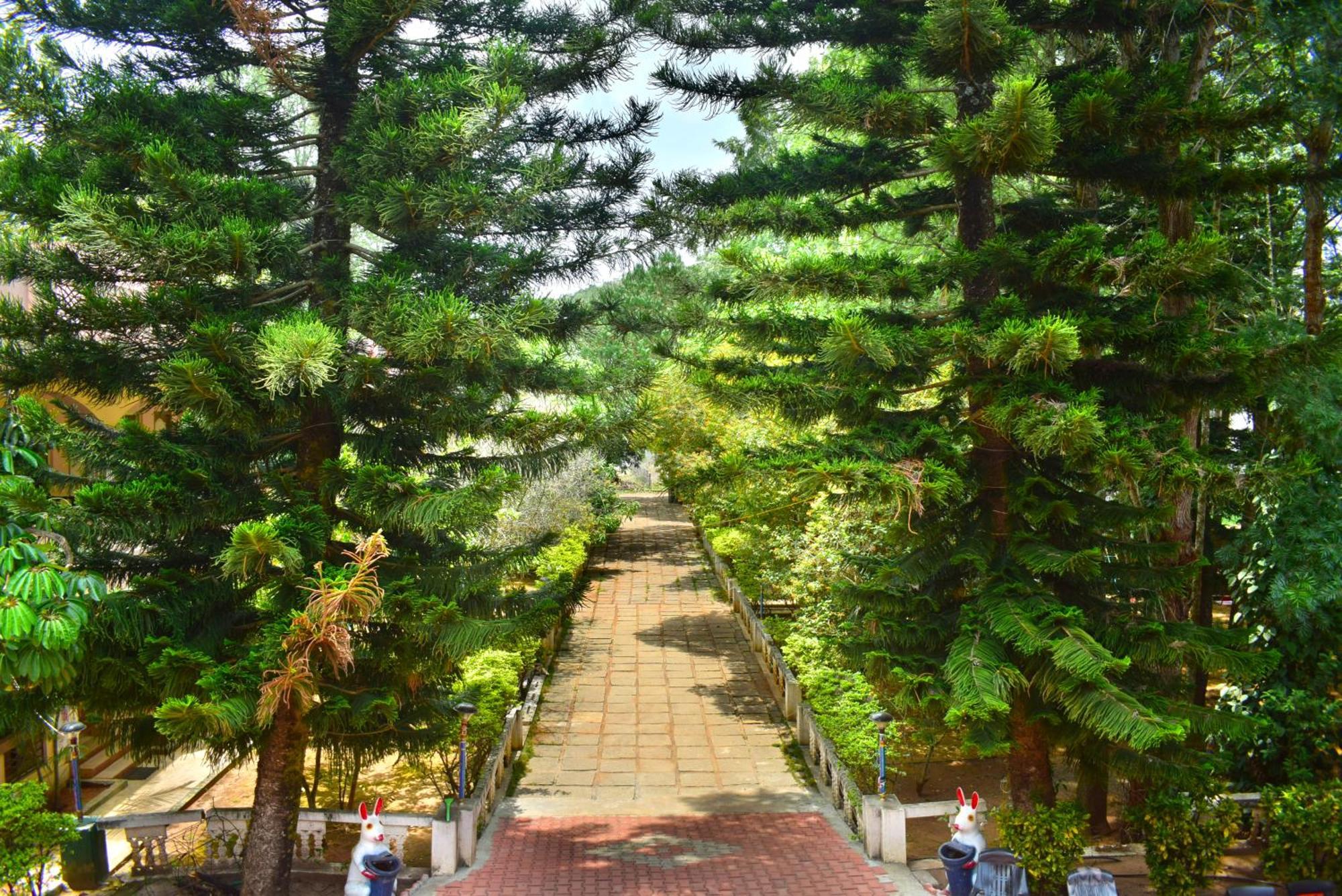 Jains Royal Palace Resorts Yelagiri Exterior foto